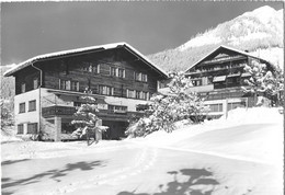 Klosters Soldanella - Klosters