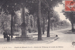 FORET DE SENART (91) CROIX DE VILLEROY ET ROUTE DE MELUN - 1910 - - Sénart
