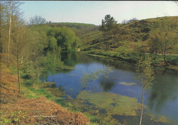 Paimpont - Le Miroir Aux Fées Au Pied Du Val Sans Retour - (P) - Paimpont