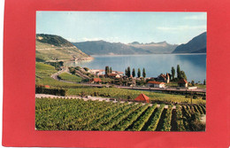 SUISSE----LAC LEMAN--CULLY Et Le Vignoble De Lavaux--voir 2 Scans - Cully