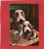 JOUETS--Chiens En Peluche --voir 2 Scans - Jeux Et Jouets