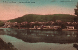 Godinne Sur Meuse - Vue Générale Des Villas - Yvoir