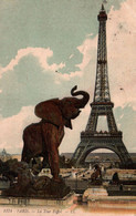 Delcampe - Paris - La Tour Eiffel - Eiffelturm