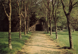 Delcampe - PONTCHATEAU - BODIO - LA GROTTE - Pontchâteau