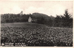 KEMMEL : Mont De Kemmel, Vue Sur Le Mont - Heuvelland