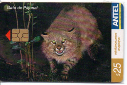 Chat Cat Katze Télécarte Uruguay Phonecard ( D 842) - Uruguay