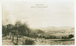 Slenaken; Klein Zwitserland (Panorama Met Grazende Koeien) - Niet Gelopen. (Gebr. Simons - Ubach Over Worms) - Slenaken