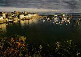 CPSM DOUARNENEZ LE VIEUX PORT - Douarnenez