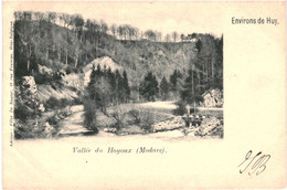 CPA Carte Postale Belgique Modave Vallée Du Hoyoux   1901 VM51179 - Modave