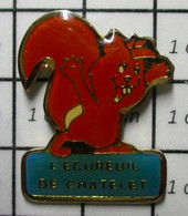 722 Pin's Pins / Beau Et Rare / THEME : ANIMAUX / L'ECUREUIL DE CHATELET - Animales