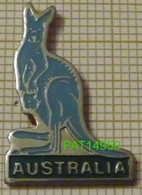 KANGOUROU BLEU AUSTRALIA AUSTRALIE - Animals