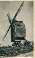 59 - Condé Sur Escaut : Un Vieux Moulin à Vent - Conde Sur Escaut