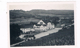 L-2895   WELLENSTEIN : Caves Cooperatives Des Vignerons - Remich