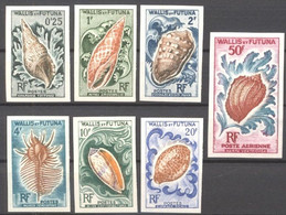 Wallis Futuna 1962, Shells, 6val IMPERFORATED - Nuevos