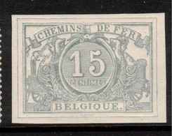 BELGIUM 1882 15c Railway Parcel Stamp Imperf SG P73 HM #ZZB8 - Mint
