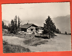 FEB-10  Chalet Les Cerniers  Les Giettes Sur Saint-Maurice - Monthey. GF Fam. Gisler Circ. 1958  Photo POT 16171-3 - Monthey