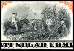 1953 New York: Manati Sugar Company - Sugar Cane Vignette - Agricultura