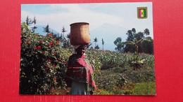 Agriculture Typiquevivre Du Marche - Ruanda- Urundi