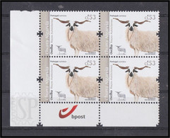 Portugal 2020 Raças Autóctones Ovelha Churra Algarve Agriculture Farming Fauna Mammals Quadra Corner Sheet Bpost - Unused Stamps