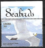 Liberia - MNH ** 1999 : Black-legged Kittiwake -  Rissa Tridactyla - Mouettes