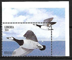 Liberia - MNH ** 1999 :  Barnacle Goose -   Branta Leucopsis - Ganzen