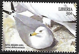 Liberia - MNH ** 1999 :   Ring-billed Gull -   Larus Delawarensis - Seagulls