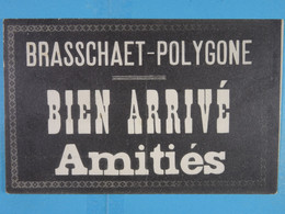 Brasschaet-Polygone Bien Arrivé Amitiés - Brasschaat