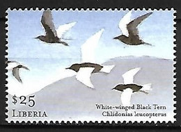 Liberia - MNH ** 2001 :     White-winged Tern  -  Chlidonias Leucopterus - Seagulls