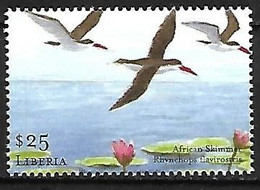 Liberia - MNH ** 2001 :    African Skimmer   - Rynchops Flavirostris - Meeuwen