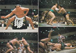 Japan - Sumo - Multi View - Ringen