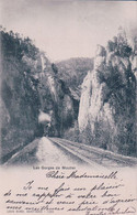 Moutier JU, Chemin De Fer Train à Vapeur Dans Les Gorges De Moutier (1066) - Moutier