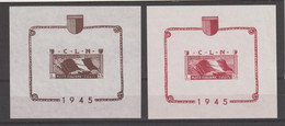 R.S.I. - C.L.N. :  1945  BANDIERA  AL  VENTO  -  2  FGL. DA  £. 25  N.D. -  N. - Nationales Befreiungskomitee