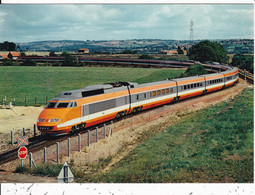 ZA/008.........TGV PARIS SUD EST - Other & Unclassified