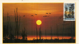 Louisiana | Beautiful Landscape At Sunset.  Maximum-card - Maximumkarten (MC)