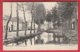 Scherpenheuvel / Montaigu -  Les Anciens Remparts - 1903 ( Verso Zien ) - Scherpenheuvel-Zichem