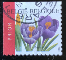 België - Belgique  - C9/58 - (°)used - 2002 - Michel 3191BEo - Krokus - Used Stamps