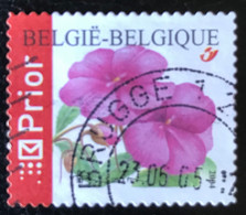 België - Belgique  - C9/59 - (°)used - 2004 - Michel 3367A - Impatiens - BRUGGE - Used Stamps