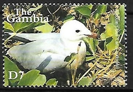 Gambia - MNH **  2001 :   Audouin's Gull -   Ichthyaetus Audouinii - Möwen