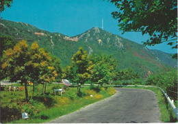 Avellino Santuario Di Montevergine Visto Dal "Casone" - Avellino