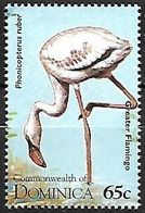 Dominica - MNH ** 1995 :  American Flamingo   - Phoenicopterus Ruber - Flamingo