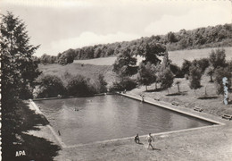 Cpsm Montredon Labessonie La Piscine - Montredon Labessonie