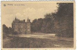 CPSM ANVAING, UNE VUE DU CHATEAU, Format 9 Cm Sur 14 Cm Environ, HAINAUT, BELGIQUE - Frasnes-lez-Anvaing