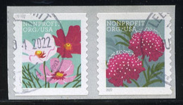 Etats-Unis / United States (Scott No.5665a - Butterfly Garden Flowers) (o) Pair TB / VF - Usati
