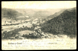 Bettws Y Coed General View 1902 PEACOCK - Zu Identifizieren