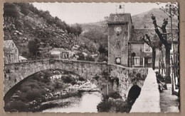 CPSM 48 - LE PONT DE MONTVERT - Pont Et Tour De L'Horloge - TB PLAN CENTRE VILLAGE Cours D'eau Maisons - Le Pont De Montvert