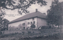 Val De Ruz NE, Ferme La Dame, Famille Oppliger, Jeu De Boules (4821) - Val-de-Ruz