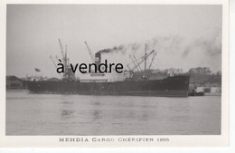 Delcampe - MEHDIA, Cargo Chérifien, 1955 - Handel