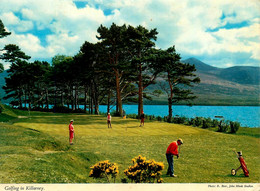 Golfing In Killarney * Thème Golf Link Links Golfeur * Irlande Irland - Golf