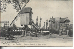 Montaigu Den Molen - Scherpenheuvel-Zichem
