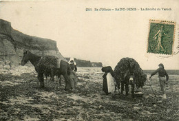 Ile D'oléron * St Denis * La Récolte Du Varech Sur La Plage * Algues - Ile D'Oléron